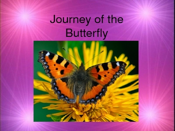 Preview of Life Cycle of a Caterpillar/Butterfly Powerpoint vocab and activity