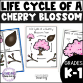 Life Cycle of a Cherry Blossom Tree Activities, Worksheets