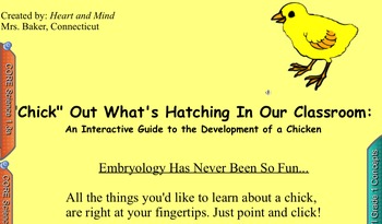 Preview of Life Cycle of a Chick: "Chick Out" What's Hatching