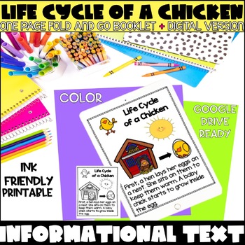 Preview of Life Cycle of a Chicken