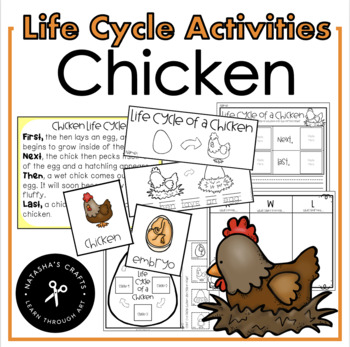 Preview of Chicken Life Cycle Activites