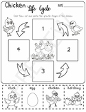 Life Cycle of a Chicken Activity