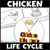 Life Cycle of a Chicken | Chicken Life Cycle Craft | Worksheets