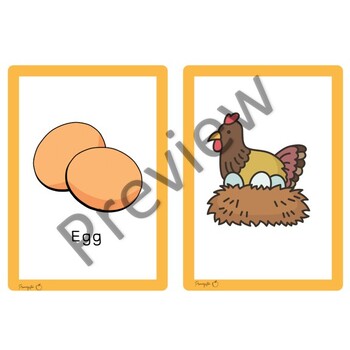 Life Cycle of a Chicken- Flash Cards by Primarystem | TPT