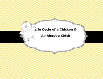 Preview of Life Cycle of a Chicken Free