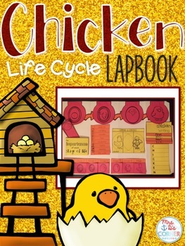 Preview of Life Cycle of a Chicken Lapbook {with 10 foldables} Chicken Life Cycle INB
