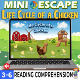 Life Cycle of a Chicken Mini Digital Escape Reading Compre