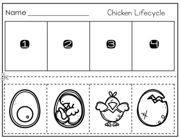 Life Cycle of a Chicken Mini Unit by Kreative in Kinder | TpT
