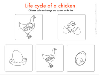 chicken math page