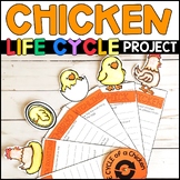 Life Cycle of a Chicken Project - Research Report - Craft