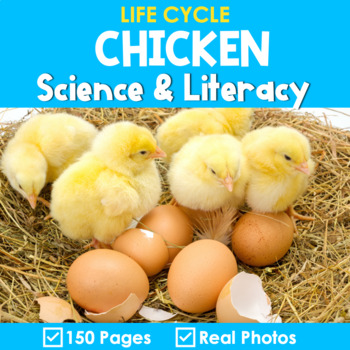 Preview of Life Cycle of a Chicken - Science and Literacy Activities