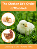 Life Cycle of a Chicken | Science and Literacy Unit