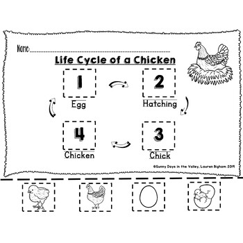 Life Cycle of a Chicken: Sequencing, Coding, and Cut & Paste | TpT