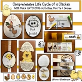 Life Cycle of a Chicken With Chick Hatching Activities