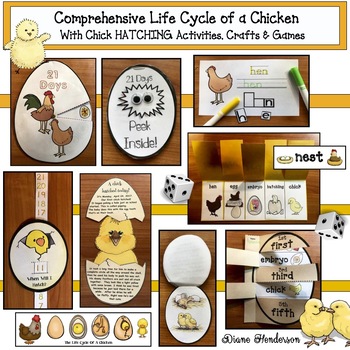 Preview of Life Cycle of a Chicken With Chick Hatching Activities