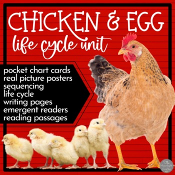Preview of Chicken and Egg: Life Cycle Unit