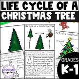 Life Cycle of a Christmas Tree Activities, Worksheets, Boo