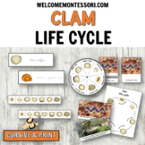 Life Cycle of a Clam: Montessori Ocean Theme Activities or