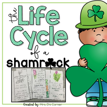 Preview of Life Cycle of a Shamrock Flip Flap Booklet { Differentiated }