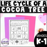 Life Cycle of a Cocoa Tree Activities, Worksheets - Cacao 