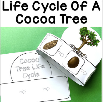 Preview of Life Cycle of a Cocoa Tree Activities and Craft