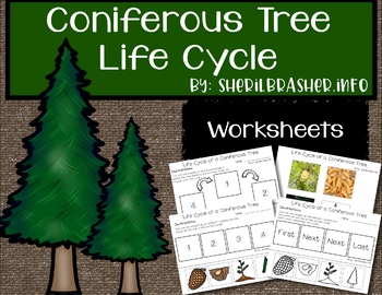 Preview of Life Cycle of a Tree | PreK-K Worksheets | English