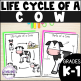 Life Cycle of a Cow Activities, Worksheets, Booklet - Cow 