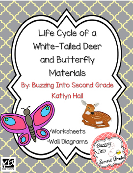 Preview of Life Cycle of a Deer and Butterfly Resources
