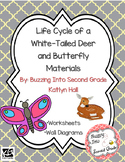 Life Cycle of a Deer and Butterfly Resources
