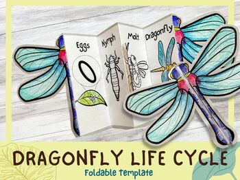 Preview of Life Cycle of a Dragonfly | Science Craft | A4 Printable Worksheet