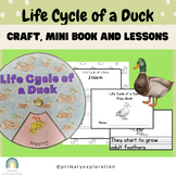 Life Cycle of a Duck Craft, Mini Book, and Lessons for Primary