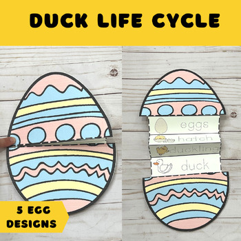 Duck Life Cycle Study - Simple Living. Creative Learning