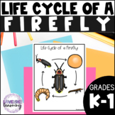 Life Cycle of a Firefly Activities, Worksheets, Booklet - 