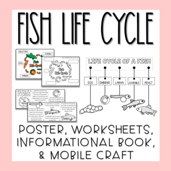 Preview of Life Cycle of a Fish Activities & Craft