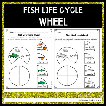 Life Cycle of a Fish Wheel | Fish Life Cycle Wheel | Fish Life Cycle ...