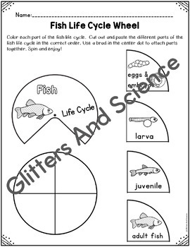 Life Cycle of a Fish Wheel | Fish Life Cycle Wheel | Fish Life Cycle ...