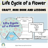 Life Cycle of a Flower Craft, Mini Book, and Lessons for Primary