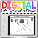 Life Cycle of a Flower Digital Basics for Special Ed | Dis