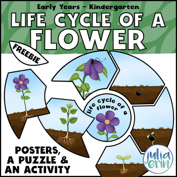Preview of Life Cycle of a Flower - FREEBIE!