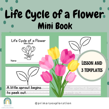 Preview of Life Cycle of a Flower Mini Book for Primary - 3 templates and lesson