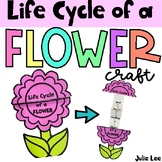 Life Cycle of a Flower Plant Craft and Spring Activities f