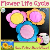 Life Cycle of a Flower Spring Writing Craft Activity & Rea
