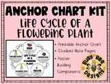 Life Cycle of a Flowering Plant Anchor Chart Kit