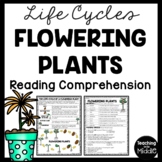 Life Cycle of a Flowering Plant Reading Comprehension Worksheet