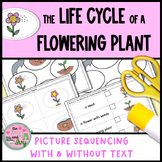 Life Cycle of a Flowering Plant Sort and Sequence Activities