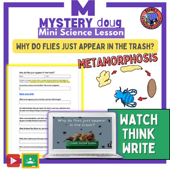 Preview of Life Cycle of a Fly | Metamorphosis | Mystery Doug Mini-Science Lesson