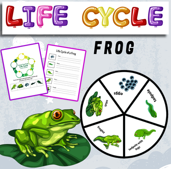 Preview of Life Cycle of a Frog - Frog life cycle - frog life cycle - frog craft