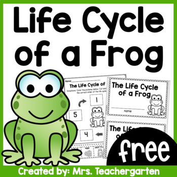 Preview of Life Cycle of a Frog - FREE