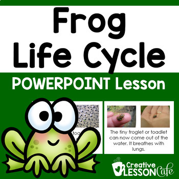 Preview of Frog Life Cycle Activities | Frogs | PowerPoint Science Lessons