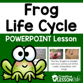 Life Cycle of a Frog Activities | Frogs | PowerPoint Scien